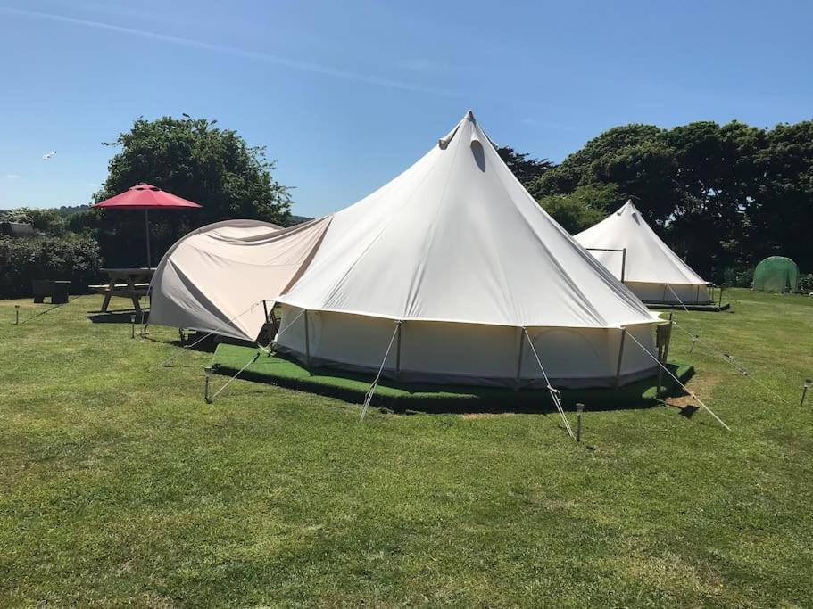 Tente de luxe Cox Hill Glamping Badger *
